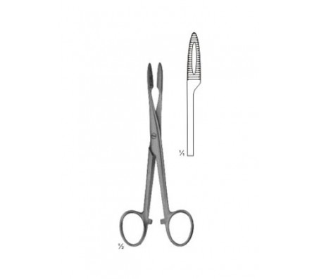 Forceps